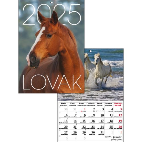 T-Calendar Falinaptár A/4 Tűzött Lovak 2025