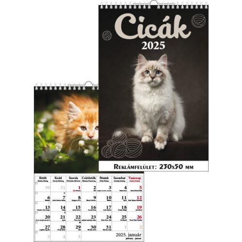 T-Calendar Falinaptár Spirálozott Cicák 2025