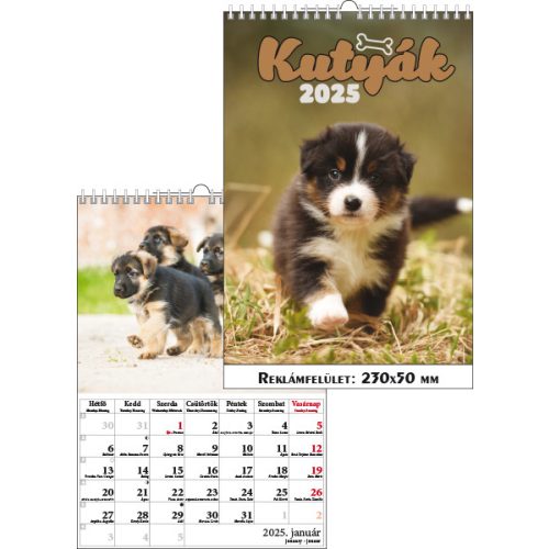 T-Calendar Falinaptár Spirálozott Kutyák 2025