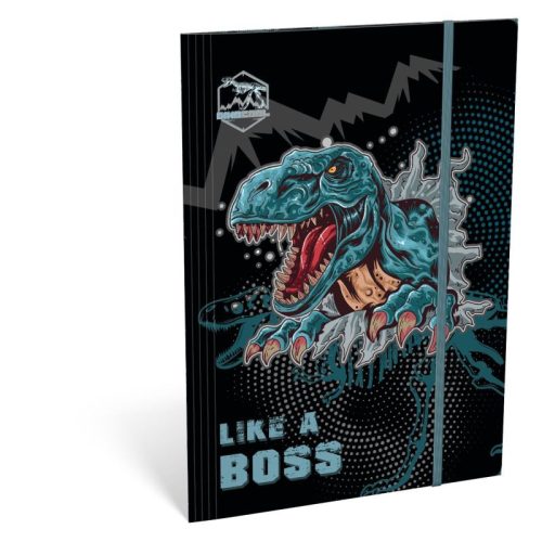 Lizzy Card Gumis Mappa A/4 Dino Cool